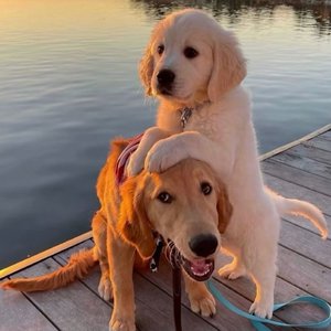 在线电影一区二区三区
